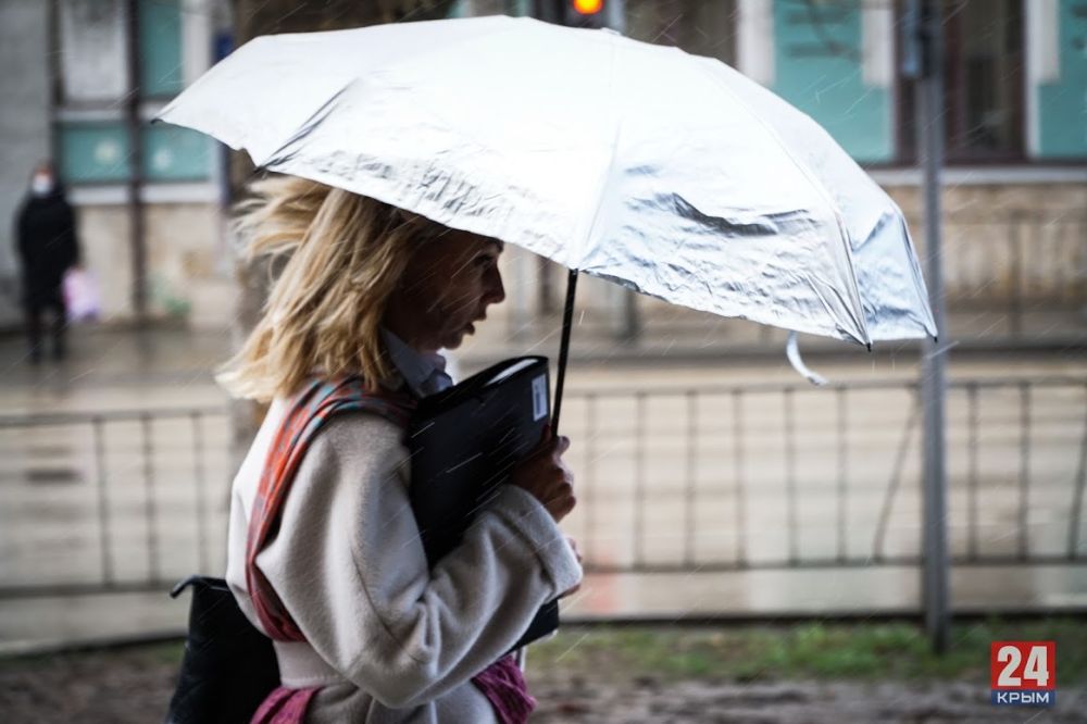 Мокрый снег, дождь и ветер: Синоптик рассказала, какая погода ждёт крымчан на выходных