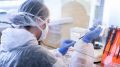 Разработка крымской вакцины от коронавируса остановлена