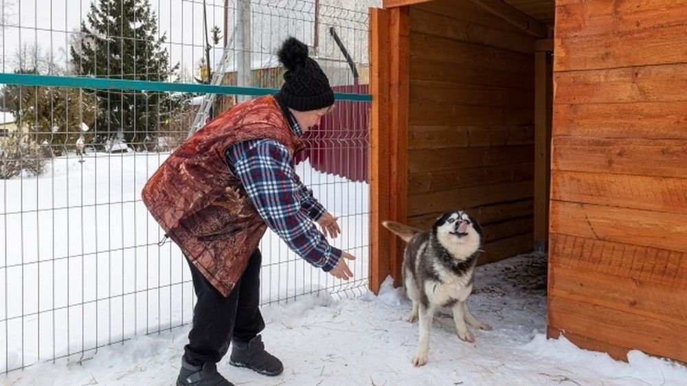 За год в Симферополе отловили 49 агрессивных собак