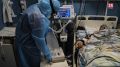 Больше 800 человек заболели коронавирусом в Крыму за сутки