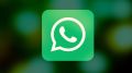   WhatsApp-    