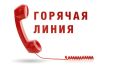 Для обращений граждан ДНР и ЛНР открыта «горячая линия»