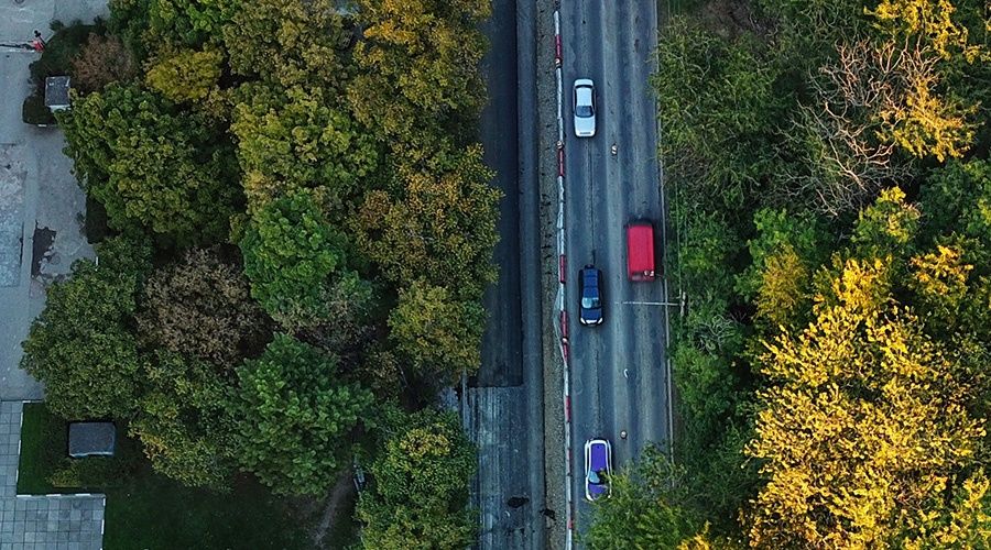 Зеленые насаждения крым. Зеленое кольцо Крым.