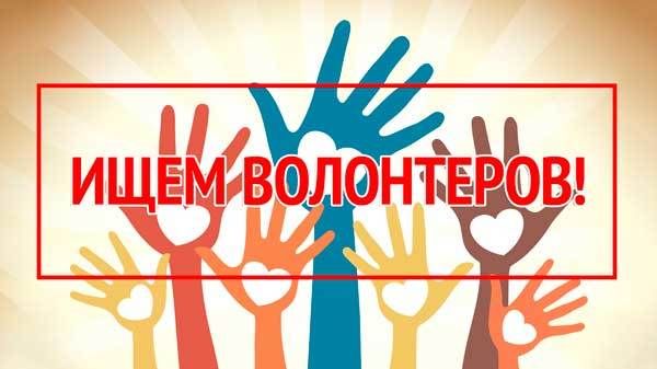 Ищем волонтеров картинки