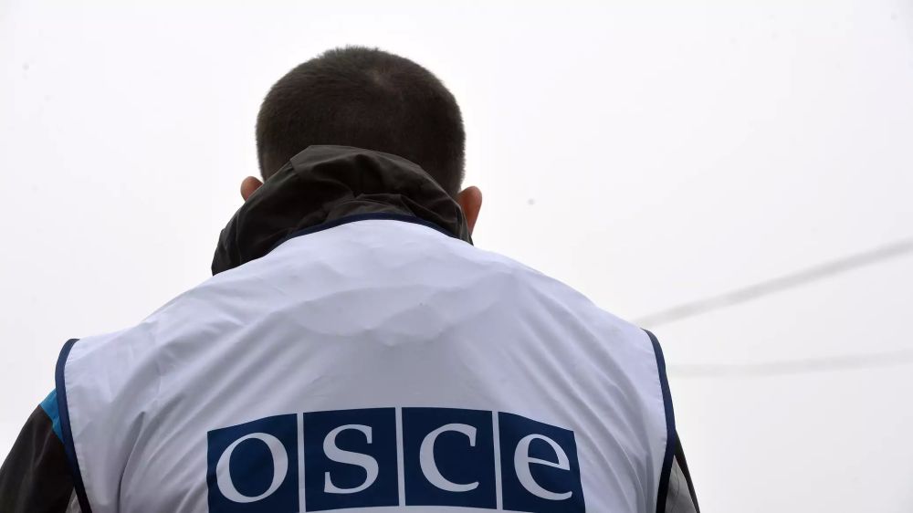 Сотрудник ОБСЕ в ЛНР сознался в связях с иностранными спецслужбами