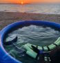 За месяц на крымское побережье выбросились 17 дельфинов