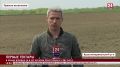 В Крыму впервые за восемь лет аграрии приступили к севу риса