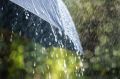 Прогноз погоды на 5 мая: в Крыму и Севастополе возможны кратковременные дожди