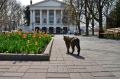 Прогноз погоды на 7 мая: в Севастополе и Крыму осадков не ожидается