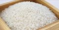 15 гектаров риса засеяли в Нижнегорском районе