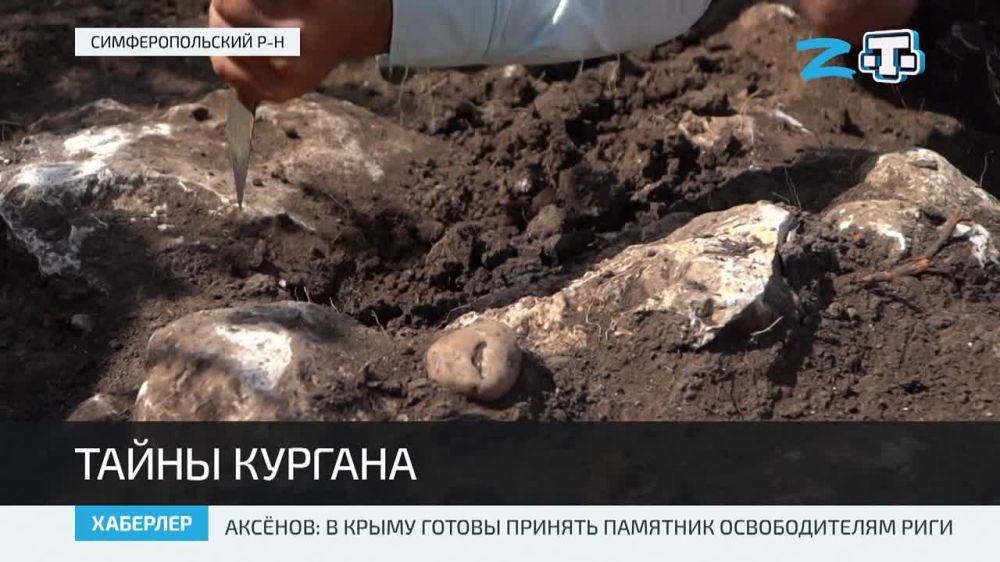 Экспедиция РАН продолжает раскопки курганов под Симферополем