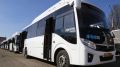 В Симферополе на маршруте №81 работают новые автобусы ГУП РК «Крымтроллейбус»