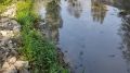 Совмин Крыма выделит восемь млн рублей на расчистку русел рек в Ялте