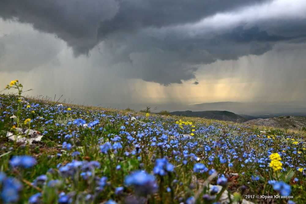 Прогноз погоды на 23 мая: в Крыму и Севастополе днем возможны кратковременные дожди