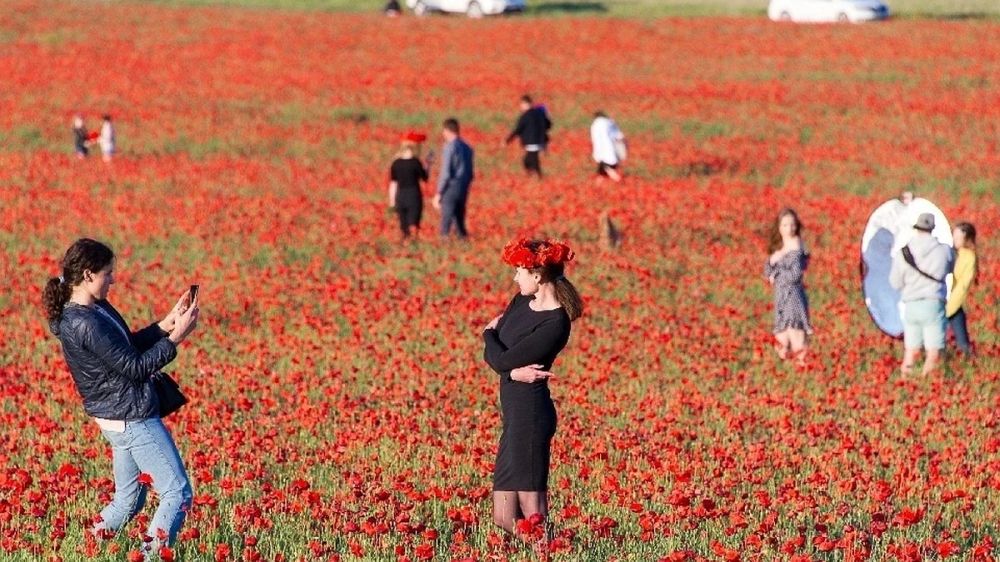 Там, где цветут маки: топ лучших мест для фотосессий в Крыму