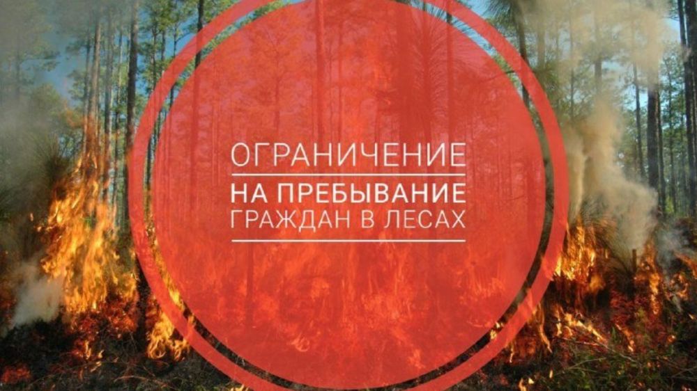 В Пермском крае введен временный запрет на пребывание граждан в лесах – Администрация Уинского муниципального округа