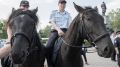 Патрулировать улицы Севастополя будет конная полиция