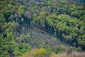 В Крыму вводят временный запрет на посещение лесов