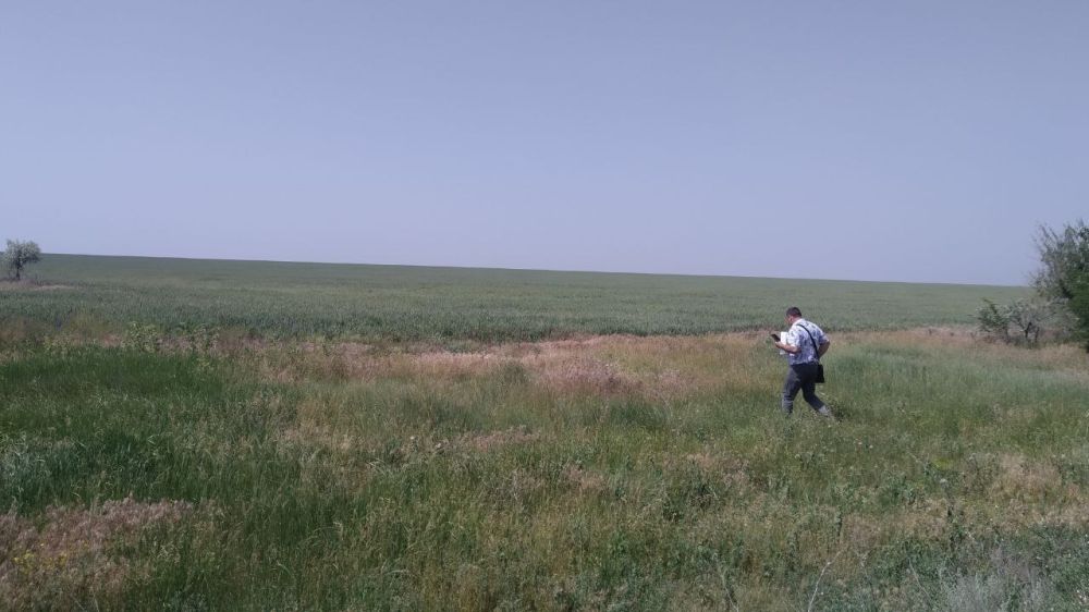 На территории Красноперекопского района продолжается обследование земельных участков сельскохозяйственного назначения