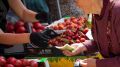 Херсонские овощи и ягоды сбили цены в Крыму на треть – эксперт