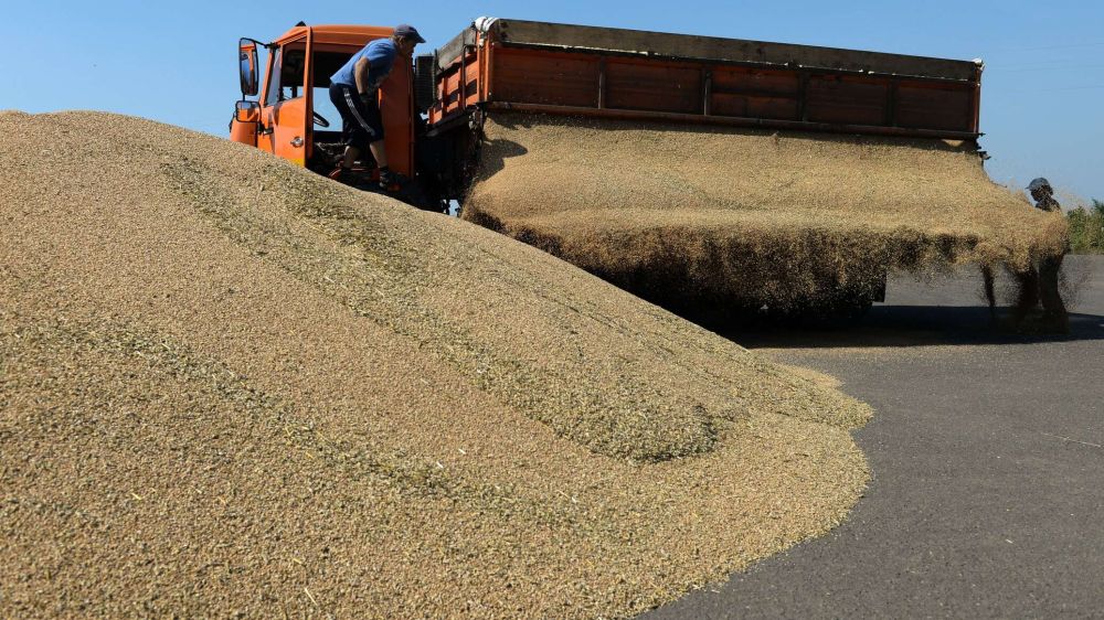 Путин пообещал поставить на мировые рынки более 50 млн тонн зерна