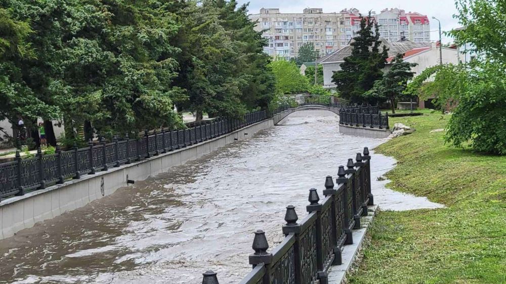 В Симферополе спасли детей с подтопленного моста через Салгир