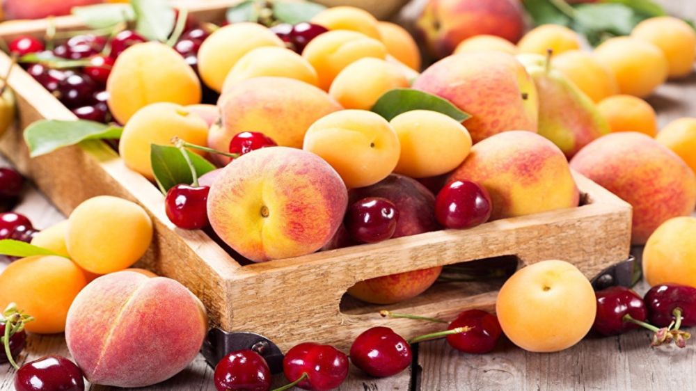 На Симферопольском шоссе можно будет купить фрукты и овощи из Херсона