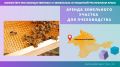 Минимущество Крыма предоставит в аренду земельный участок для пчеловодства в Черноморском районе