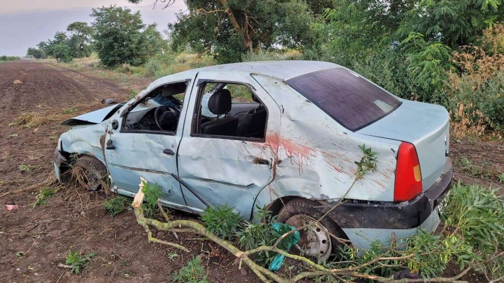 На севере Крыма иномарка влетела в дерево: погибла женщина