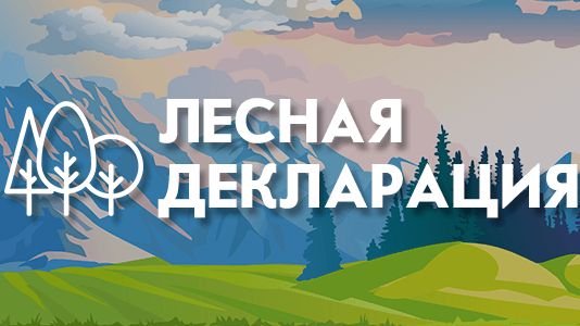 Лесная декларация образец