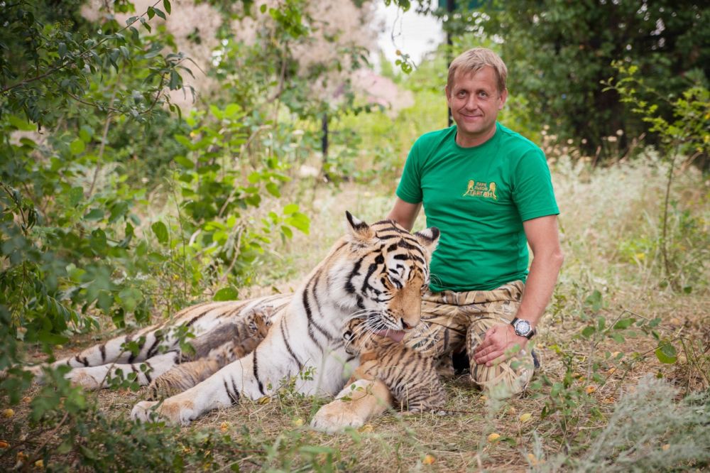 Крымский суд отправил в тюрьму директора парка львов «Тайган»