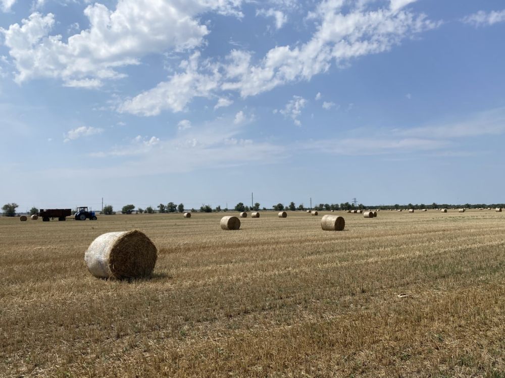 Крымские аграрии намололи рекордный урожай зерновых