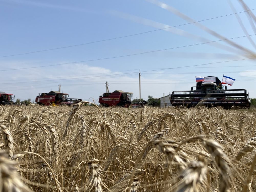 Крымские аграрии собрали более 2 млн тонн зерновых
