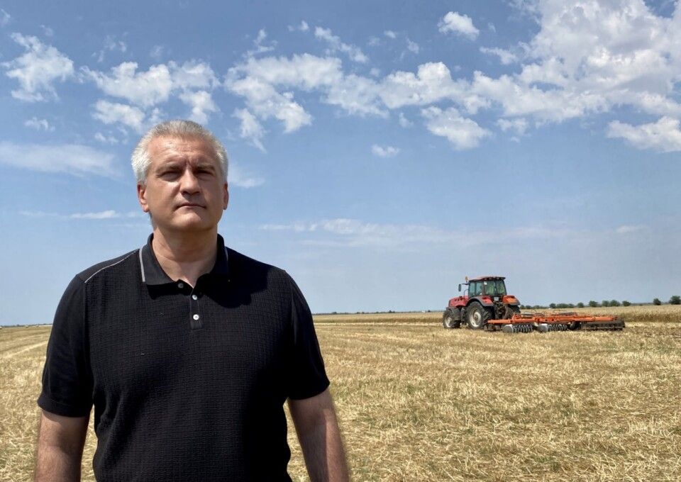 В Крыму собрали рекордный урожай озимых зерновых