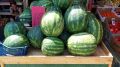 Крымское изобилие: кто зарабатывает на дешевых херсонских овощах и фруктах