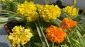 В Симферополе устанавливают кашпо с цветами