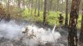На территории Михайловского участкового лесничества ликвидирован низовой пожар