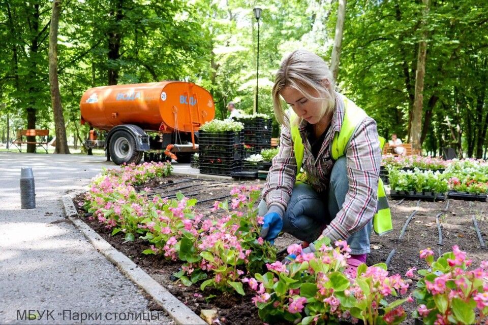 В Детском парке Симферополя неизвестные украли цветы с клумбы