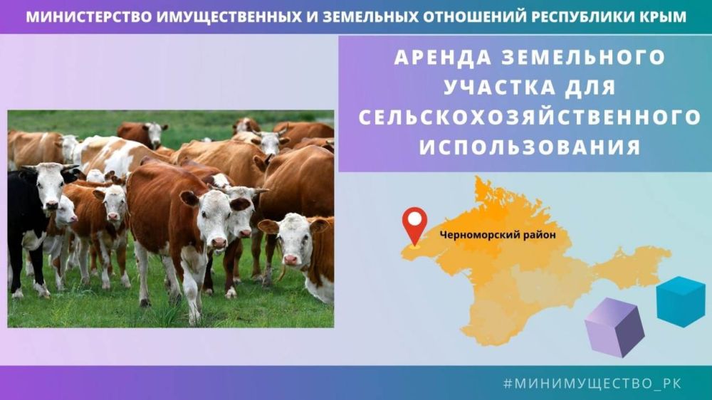 Минимущество Крыма предоставит в аренду земельный участок площадью более 18 га для выпаса сельскохозяйственных животных