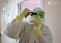 В Крыму за сутки выявили 213 случаев коронавируса