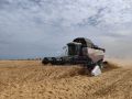 Крымские аграрии собрали рекордный урожай зерновых