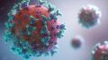 Роспотребнадзор мониторирует эпидемиологическую ситуацию по новой коронавирусной инфекции. Меры профилактики коронавирусной инфекции