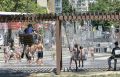 Чем опасны летние купания в фонтанах
