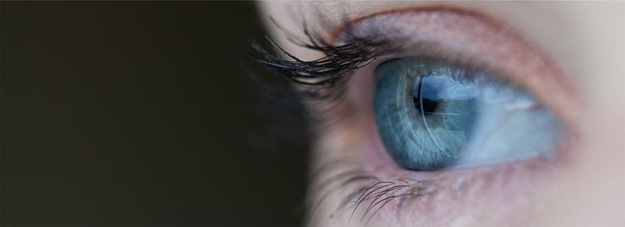 Для ясных глаз: какие продукты помогут сохранить хорошее зрение