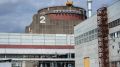 Украина и ЕС совершают самоубийство: эксперт об ударах по Запорожской АЭС