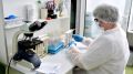 Минздрав Крыма: Онкоскрининг в рамках диспансеризации позволяет выявить злокачественные процессы в организме на ранних стадиях