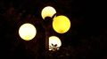 В Симферополе 29 августа отключат свет на 21 улице