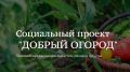 Приглашаем жителей Красноперекопского района принять участие в агроволонтерской акции «Добрый огород»