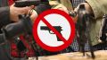 Администрация города Керчи напоминает о запрете незаконного хранения оружия и призывает сдать оружие в правоохранительные органы