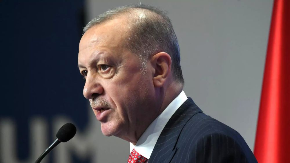 Эрдоган отметил роль России в визите МАГАТЭ на Запорожскую АЭС